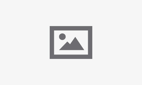 Test Post for WordPress